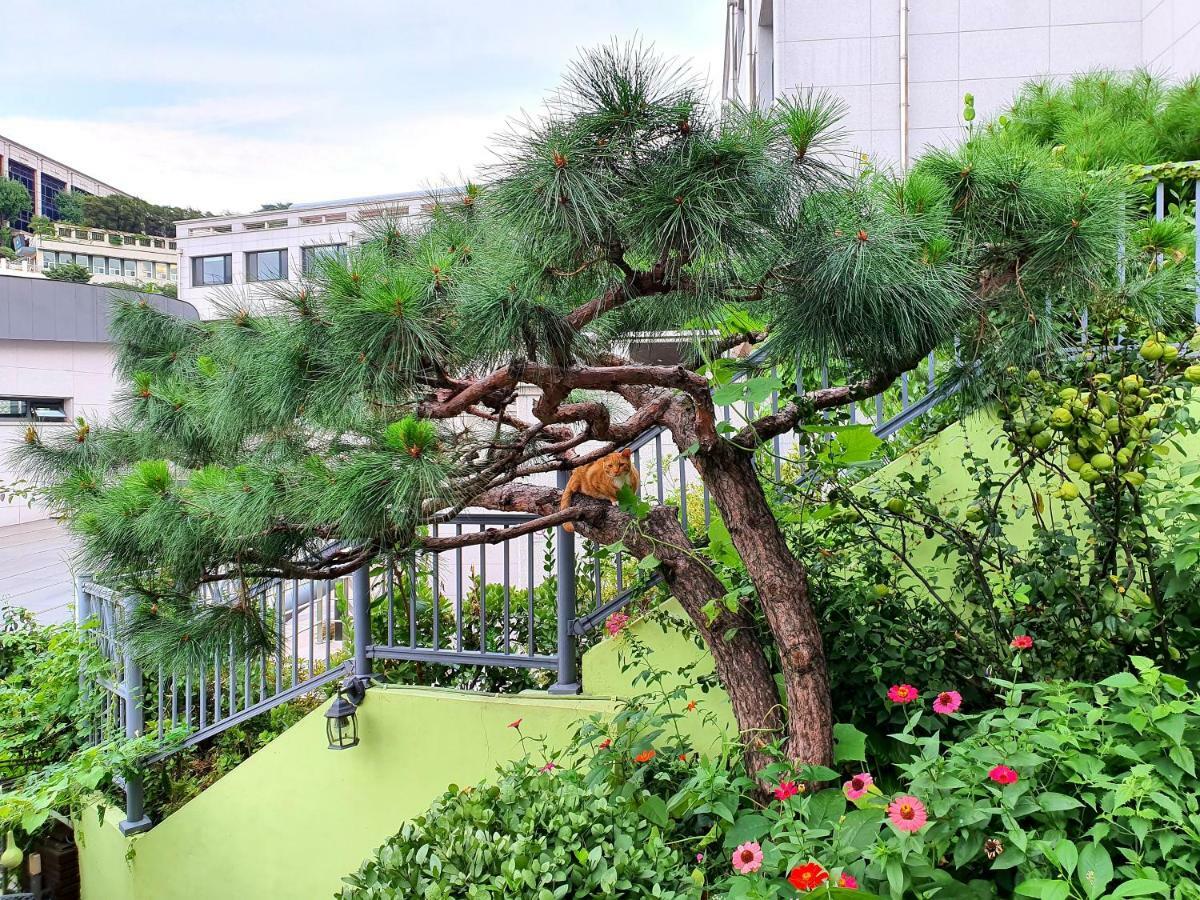 Happy Garden Guesthouse Seoul Exterior photo